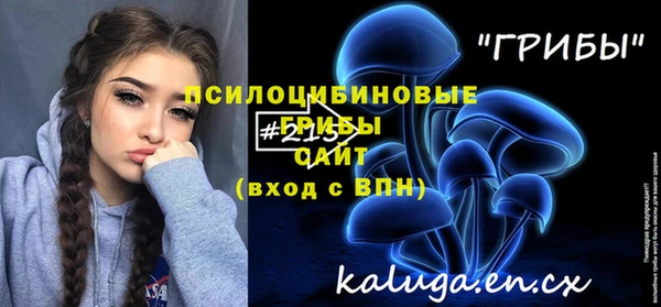 гидра Кукмор